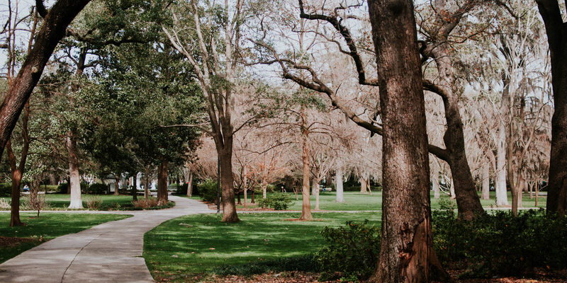 Tree-lined walking path through a Savannah historic square with oak trees and Spanish moss