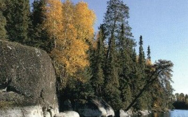 Boundary Waters Canoe Area Wilderness in northern Minnesota with pristine lake and pine forest