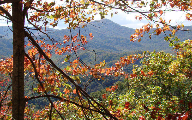 Mountain views through autumn foliage in Great Smoky Mountains National Park, North Carolina