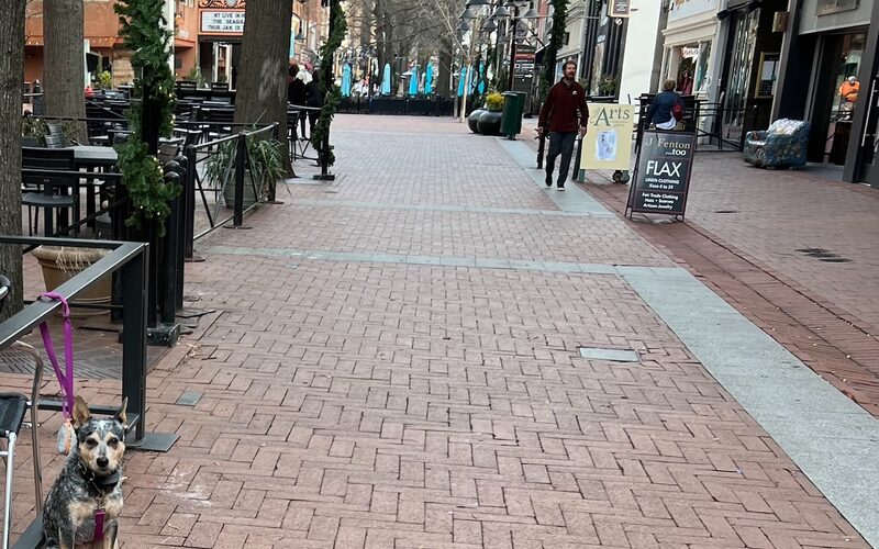Charlottesville downtown mall pedestrian area with the University of Virginia Rotunda visible in the distance